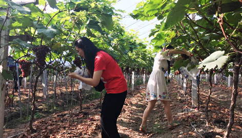 香港正版全年资料大全