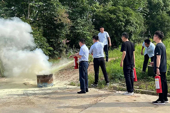 香港正版全年资料大全