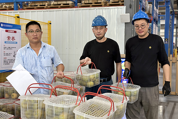 香港正版全年资料大全